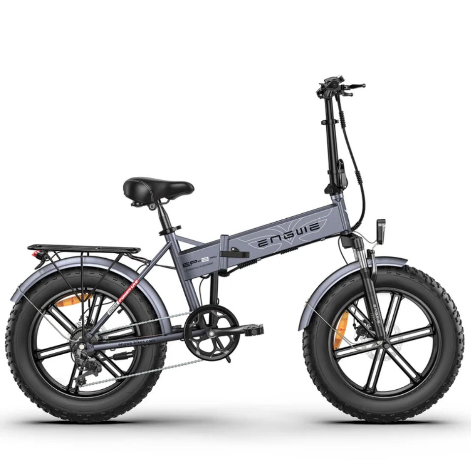 EP-2 Pro: Bicicletta Elettrica Pieghevole 250W Legale con Pneumatici 20*4.0 e Autonomia Fino a 100KM