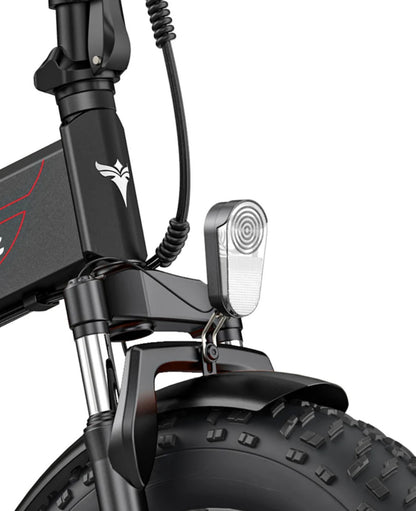 EP-2 Pro: Bicicletta Elettrica Pieghevole 250W Legale con Pneumatici 20*4.0 e Autonomia Fino a 100KM