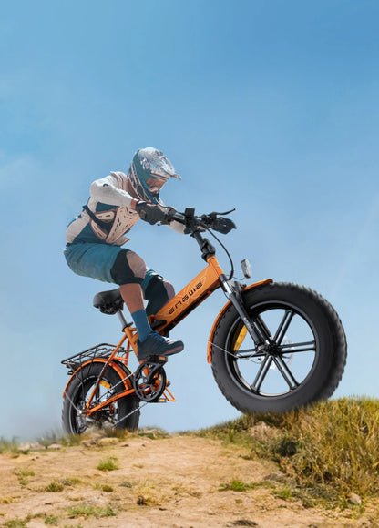 EP-2 Pro: 250W Legal Folding Electric Bike with 20*4.0 Tires and Up to 100KM Range 